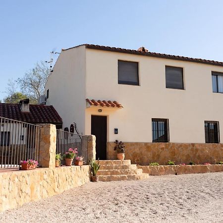 Apartament El Niu Dels Paputs Castellón de la Plana Zewnętrze zdjęcie